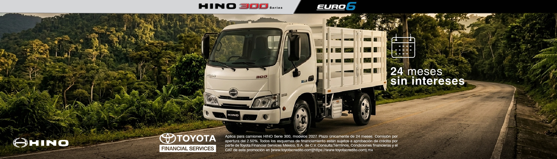 Hino Oaxaca Banner 2